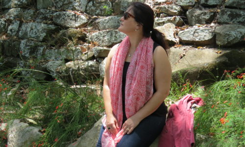 Women's Wellness & Meditation Retreat Sneak Peek + Q & A with Viki