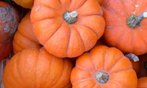 9 Health Benefits of Pepita (Pumpkin) Seeds